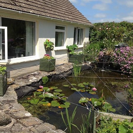 Ty Coed De Bed and Breakfast Haverfordwest Esterno foto