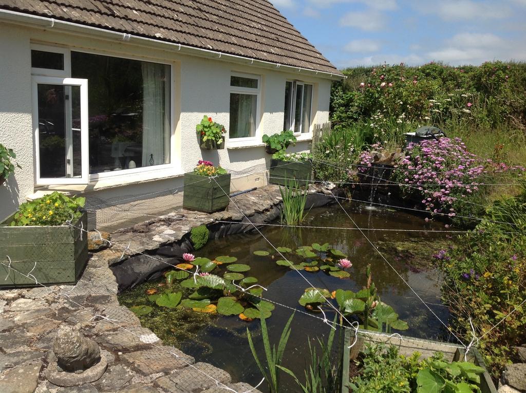 Ty Coed De Bed and Breakfast Haverfordwest Esterno foto